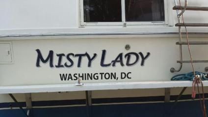 mistyladysterngraphic