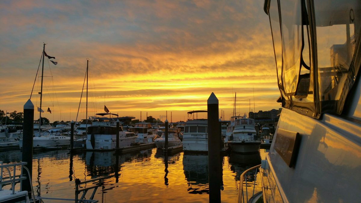 Misty Lady Thought and Comment